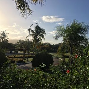 Meet your Posher, Alida